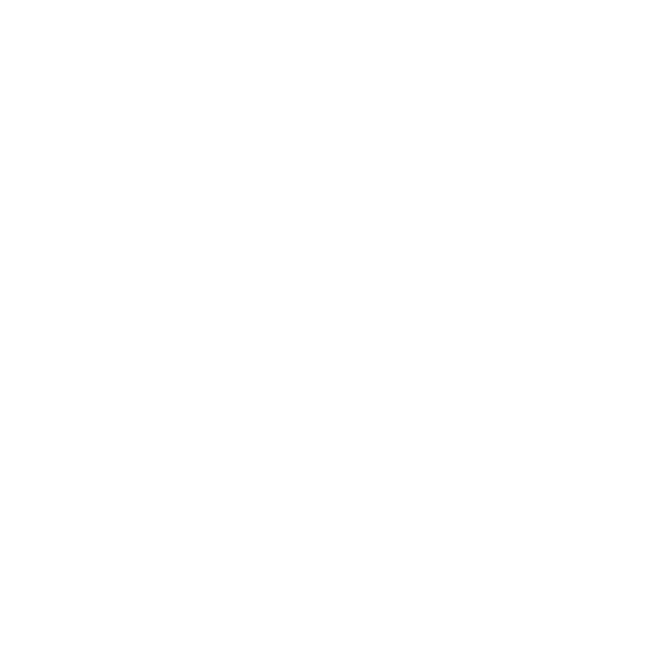 Phoenix Logo